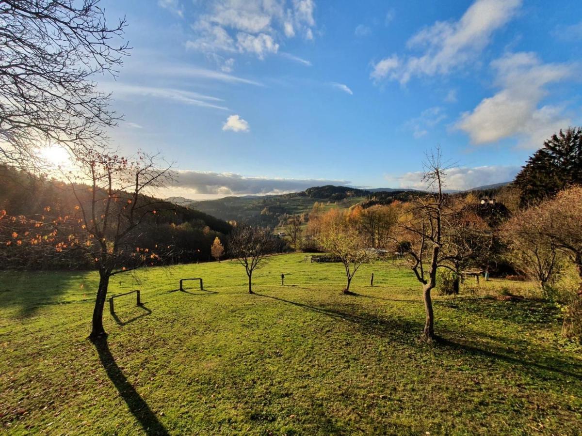 Utulny Apartman V Srdci Krkonos Se Saunou Jablonec nad Jizerou Exteriör bild