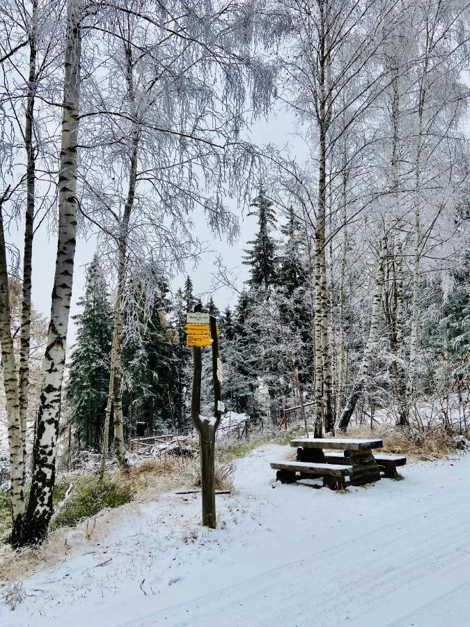 Utulny Apartman V Srdci Krkonos Se Saunou Jablonec nad Jizerou Exteriör bild